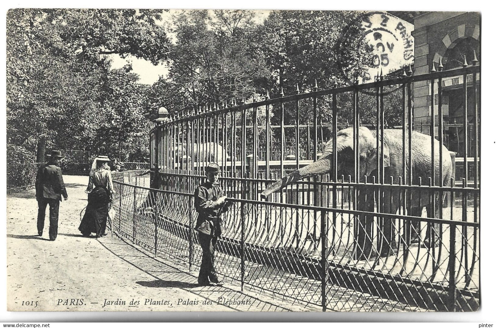 ELEPHANT - Jardin Des Plantes - Palais Des Eléphants - Éléphants