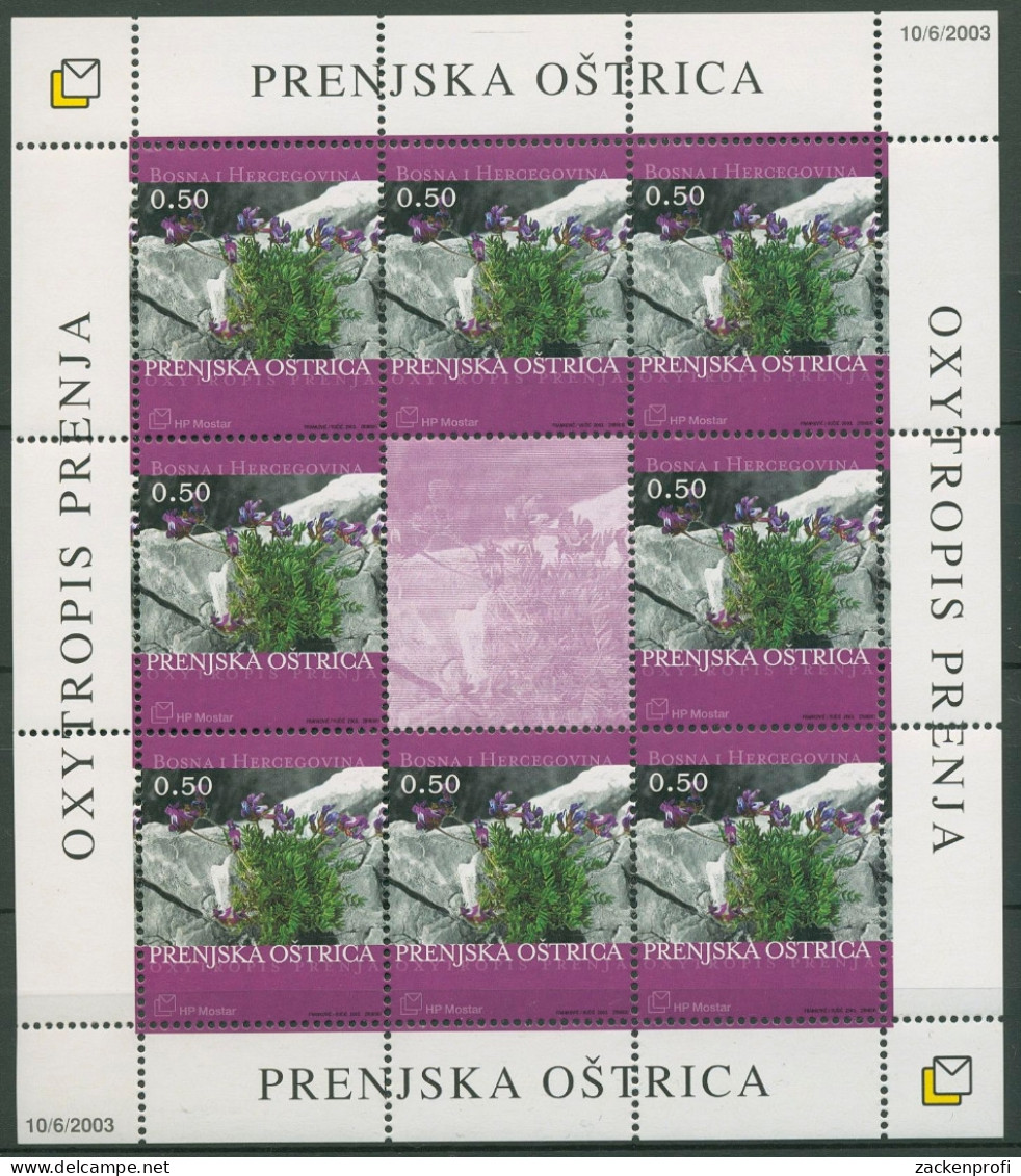 Bosnien-Herzegowina (Kroat. Post) 2003 Blumen 110 K Postfrisch (C90244) - Bosnia Herzegovina