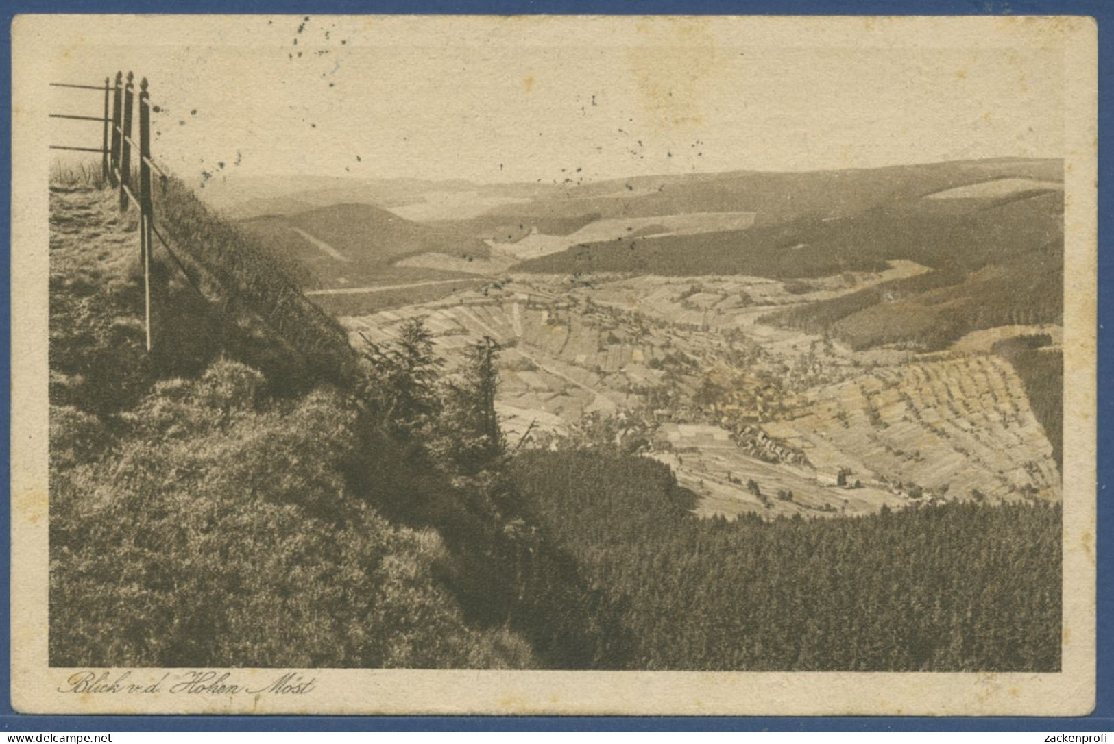 Blick Von Der Hohen Möst Auf Oberschönau, Gelaufen 1923 (AK2311) - Oberhof