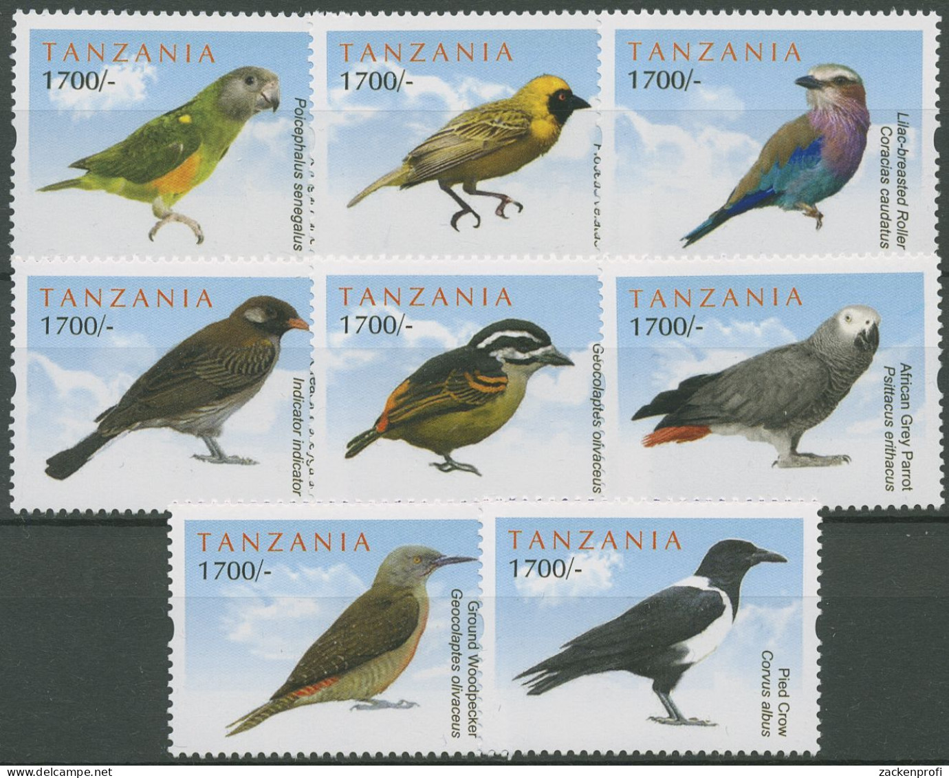 Tansania 2012 Afrikanische Vögel Graupapagei Schildrabe 4887/94 Postfrisch - Tanzania (1964-...)