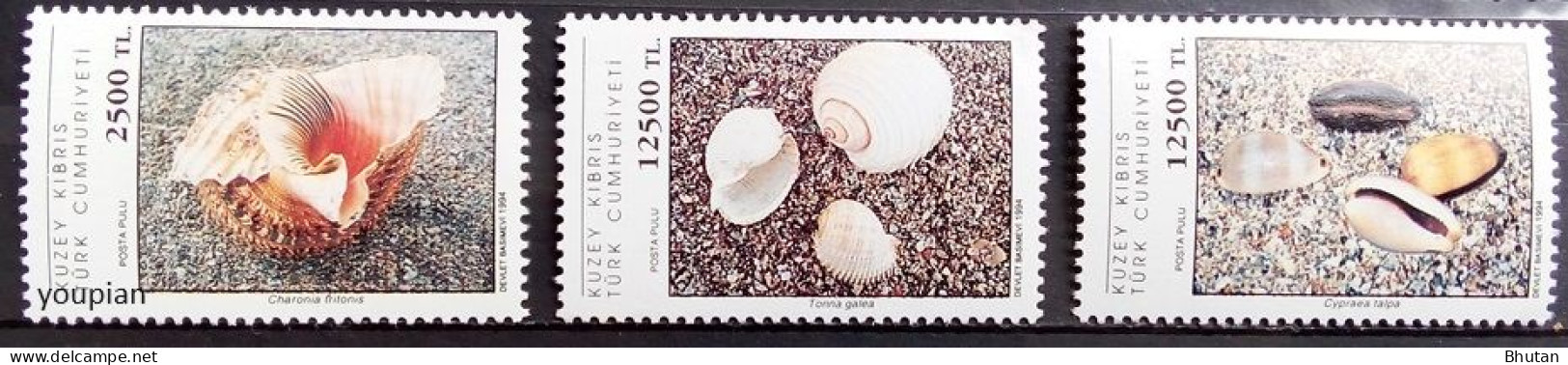 Northern Cyprus 1994, Shells, MNH Stamps Set - Ongebruikt