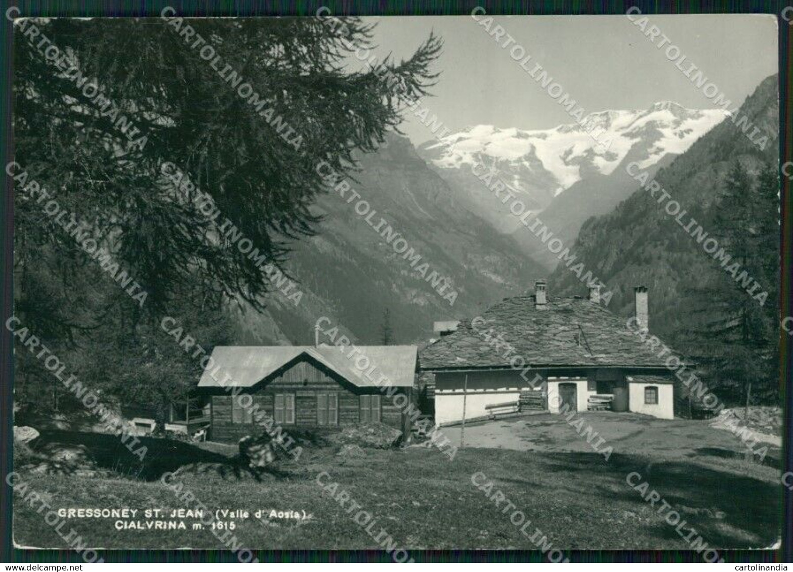 Aosta Gressoney Saint Jean Cialvrina Foto FG Cartolina ZK5269 - Aosta