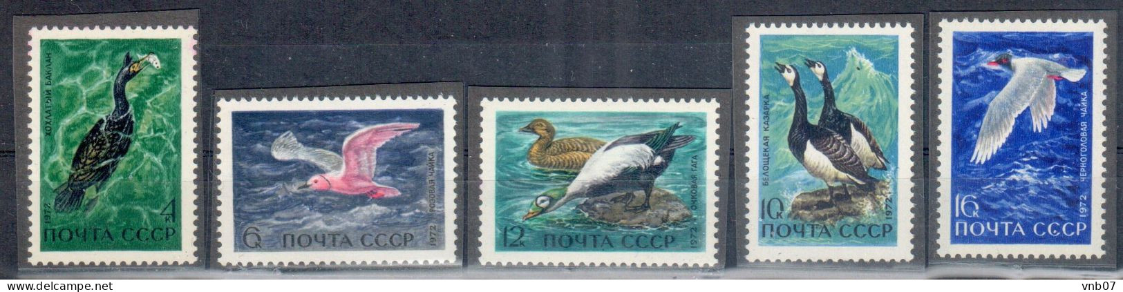 Russia USSR 1972,Sc#3939-3943, Mi#3974-3978.  Birds, Waterfowl Of The USSR, MNH - Unused Stamps