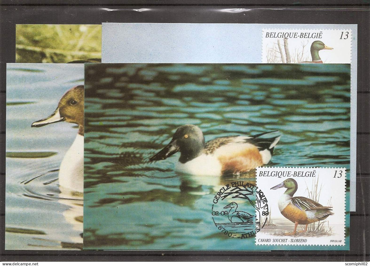 Belgique - Canards ( 4 CM De 1988 à Voir) - 1981-1990