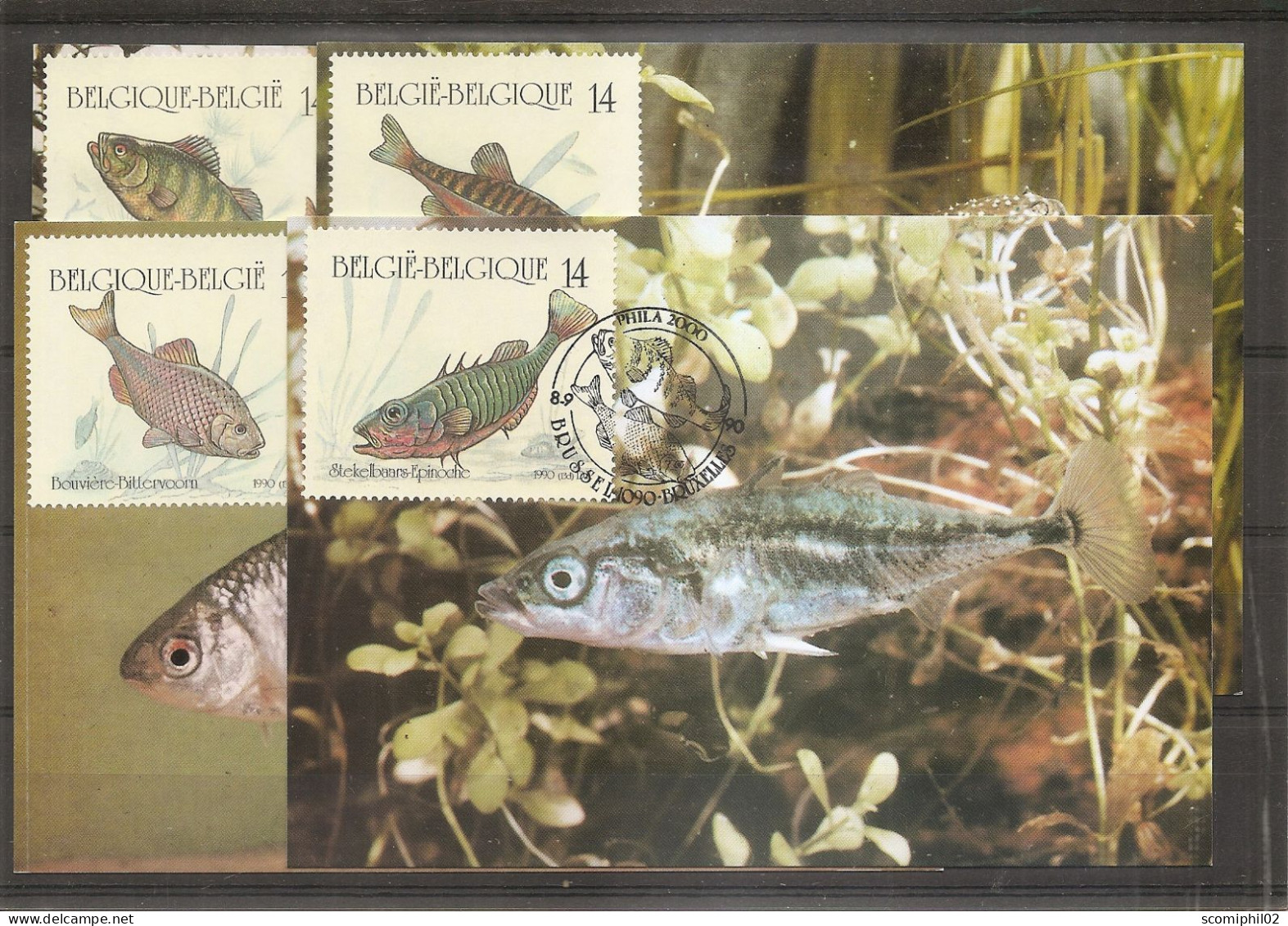 Belgique - Poissons ( 4 CM De 1990 à Voir) - 1981-1990