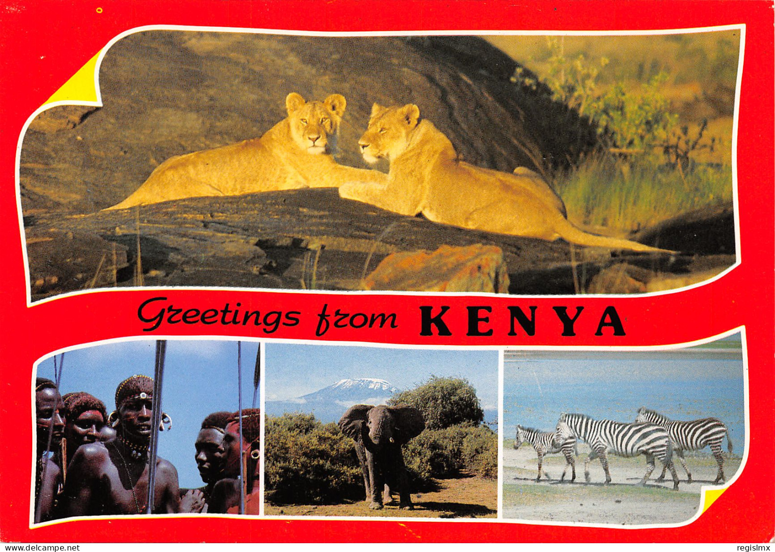 KENYA-SAFARI-N°2018-C/0355 - Kenya