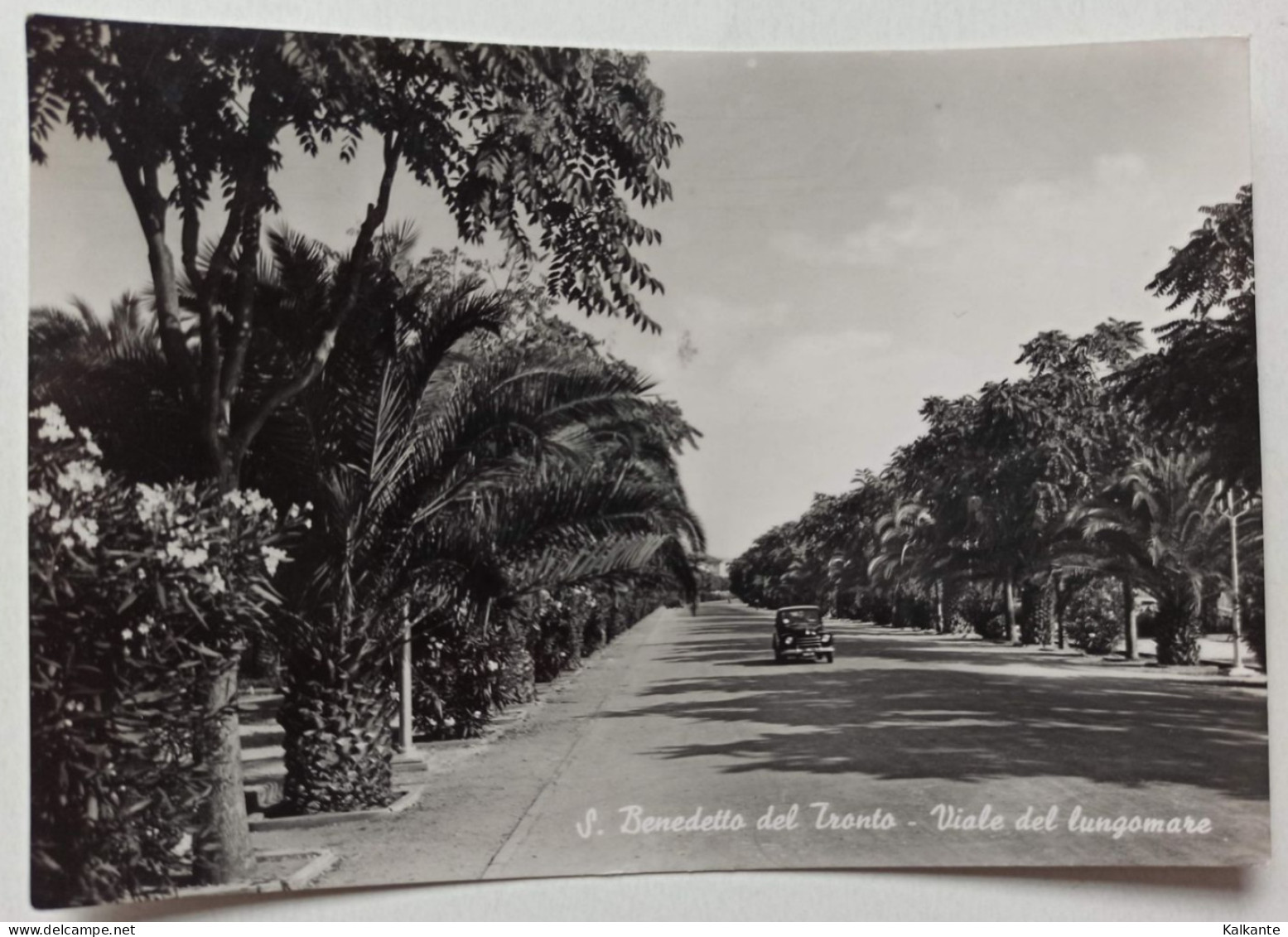 S.BENEDETTO DEL TRONTO (Ascoli Piceno) - 1952 - Viale Del Lungomare - Andere & Zonder Classificatie