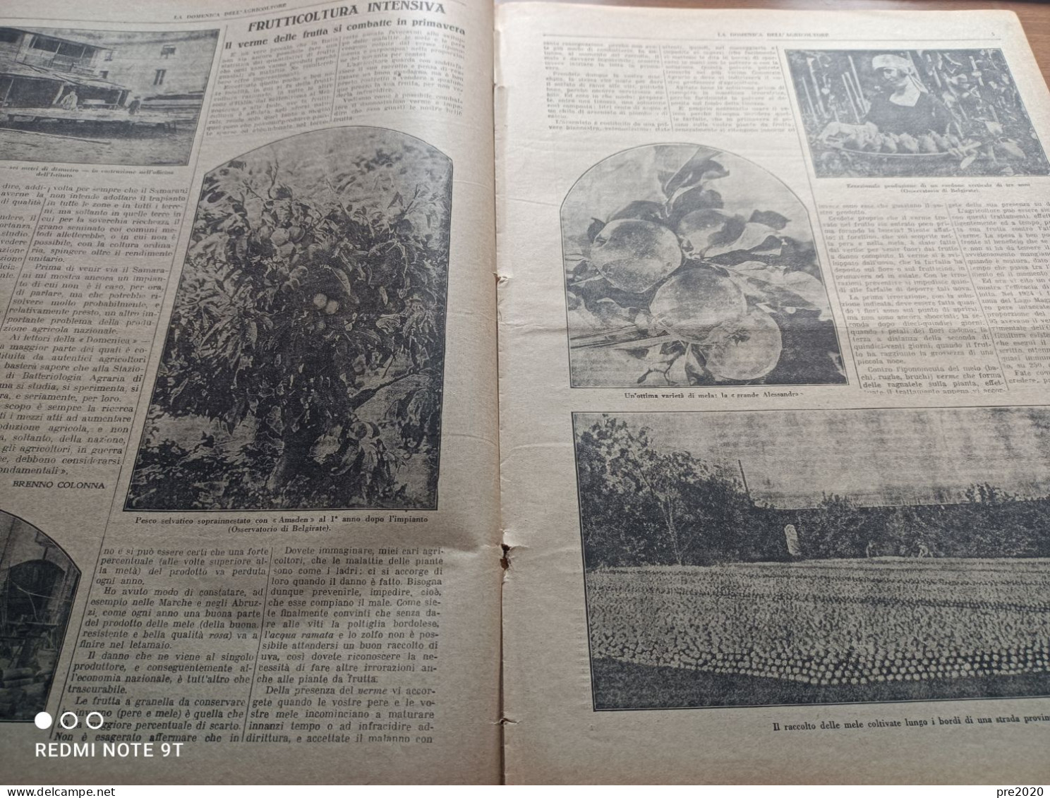 DOMENICA DELL’AGRICOLTORE 1927 CREMA BELGIRATE MASSALOMBARDA LANGOSCO LOMELLINA CARASSAI - Sonstige & Ohne Zuordnung