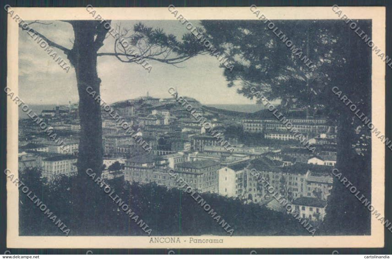 Ancona Città Cartolina ZG1875 - Ancona