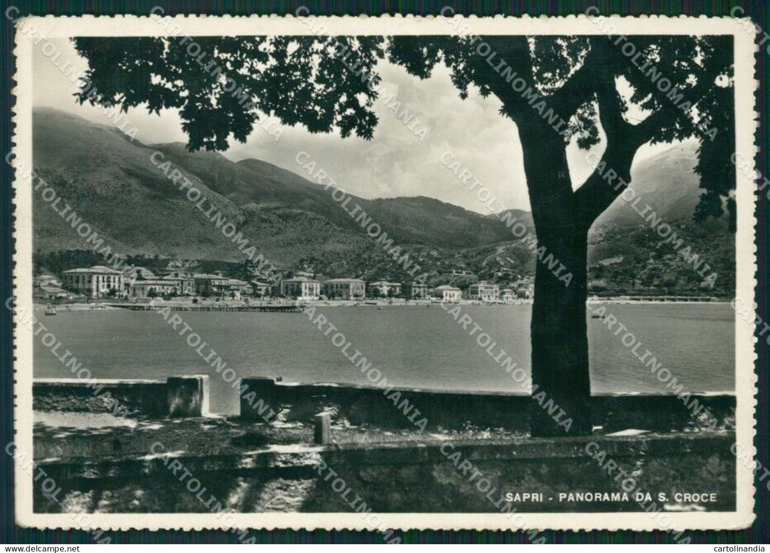 Salerno Sapri Foto FG Cartolina ZK1148 - Salerno