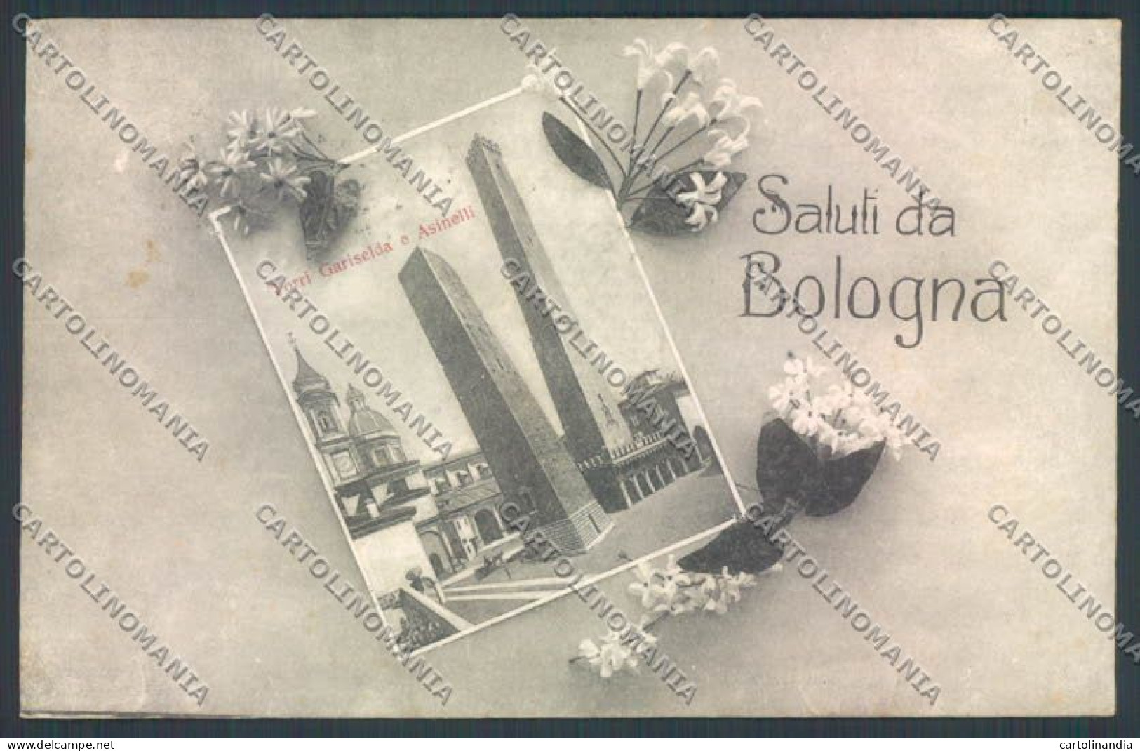 Bologna Città Saluti Da Cartolina ZT2216 - Bologna