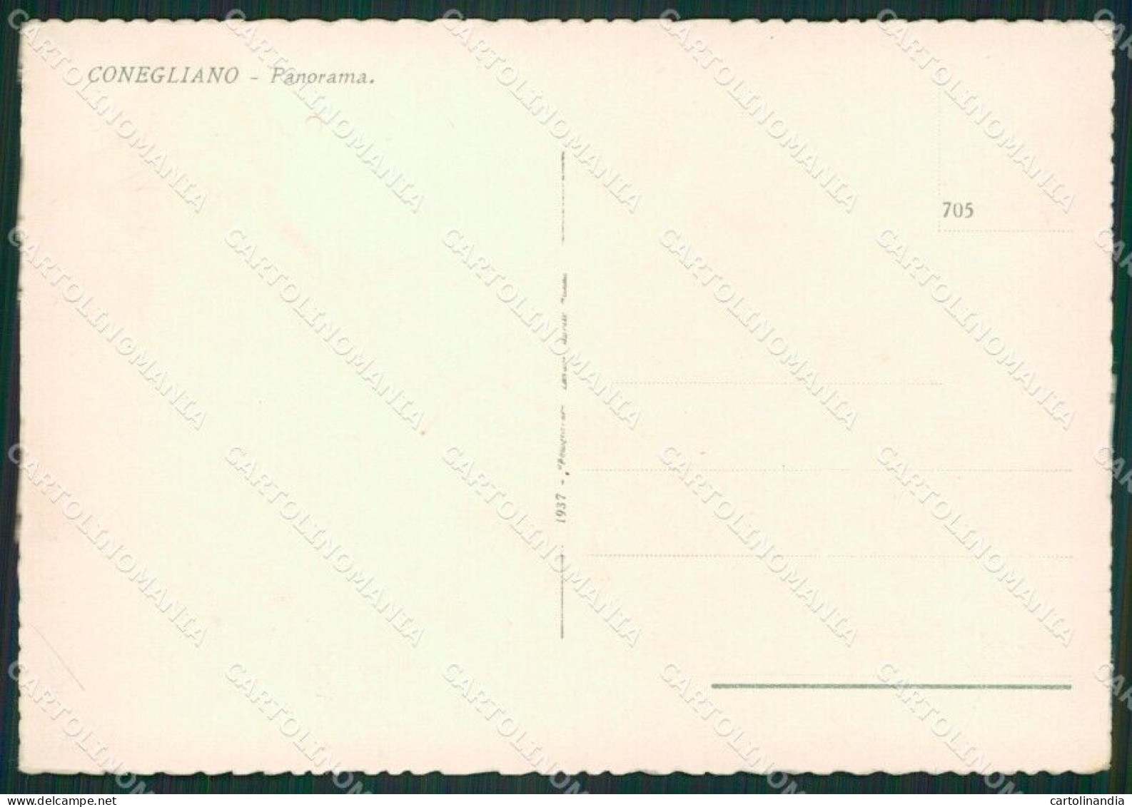 Treviso Conegliano FG Cartolina ZKM6903 - Treviso