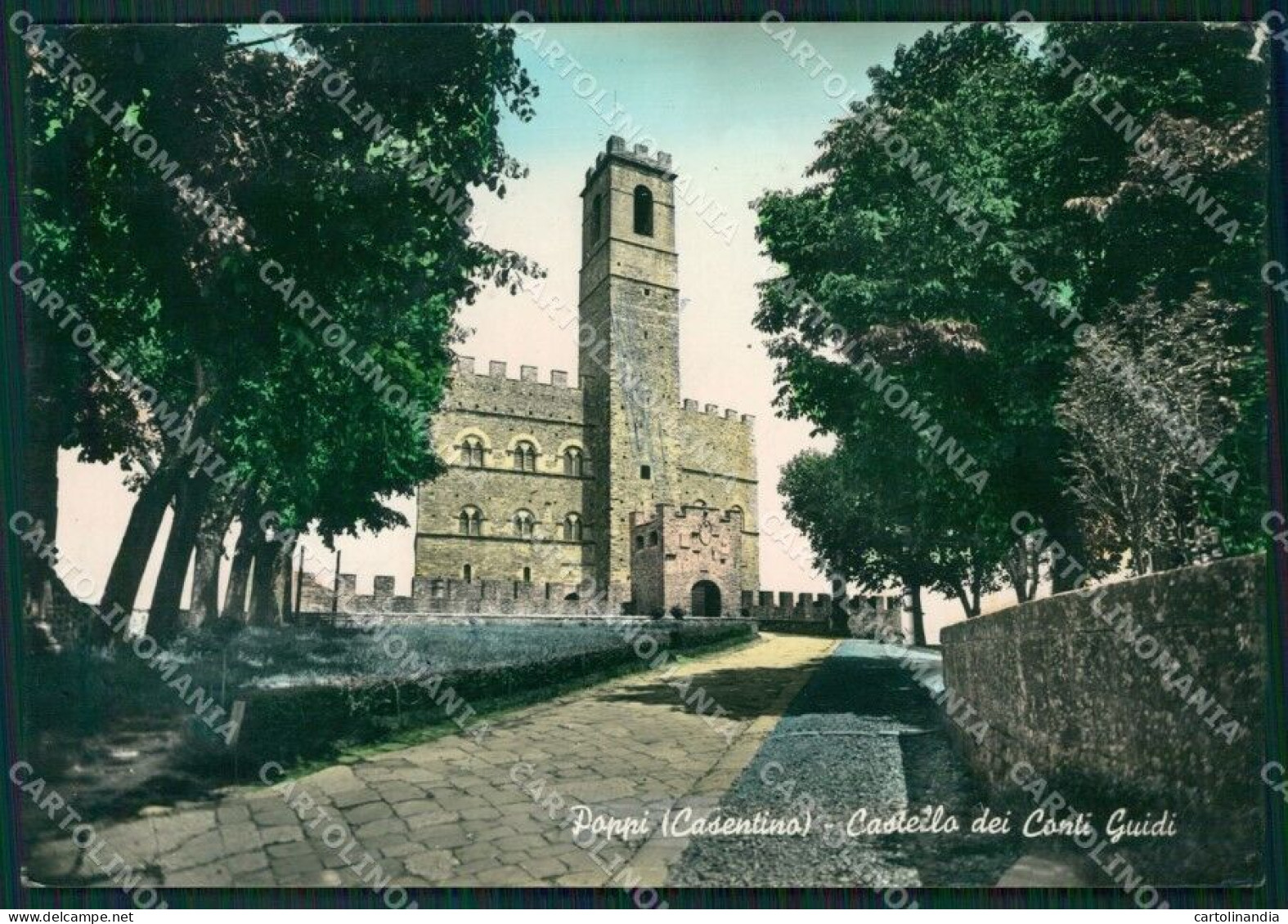 Arezzo Poppi Foto FG Cartolina ZKM8287 - Arezzo