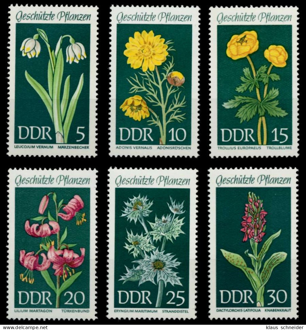 DDR 1969 Nr 1456-1461 Postfrisch S01668E - Neufs