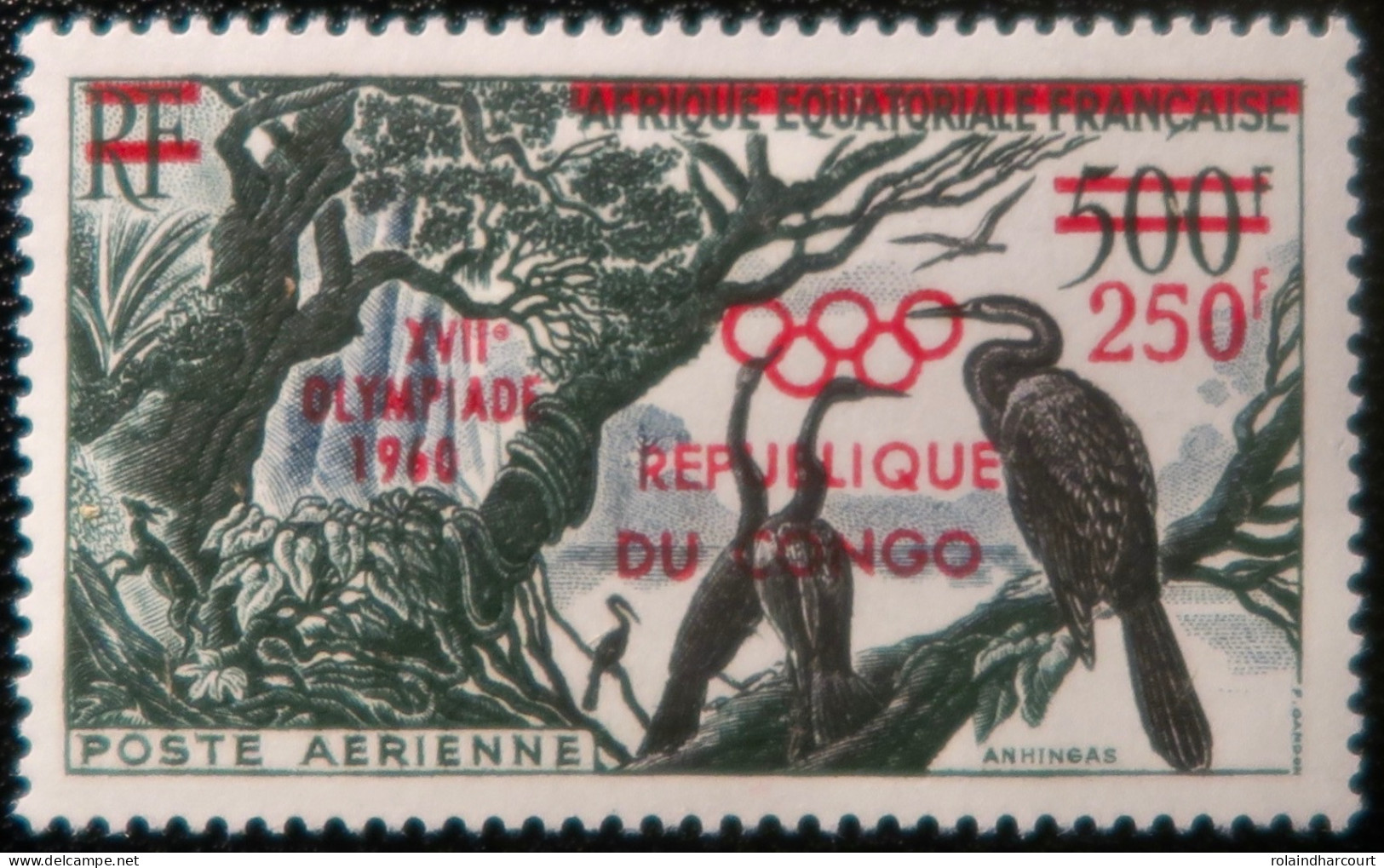 R2253/719 - CONGO - 1960 - POSTE AERIENNE - N°1 NEUF* - Nuevos