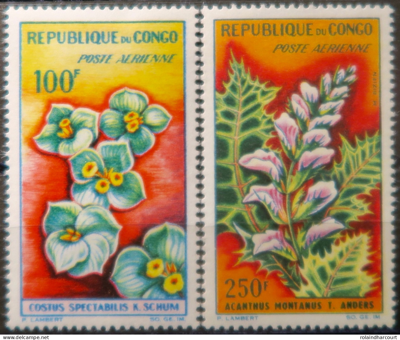 R2253/722 - CONGO - 1963 - POSTE AERIENNE - N°8 à 9 NEUFS* - Nuevos