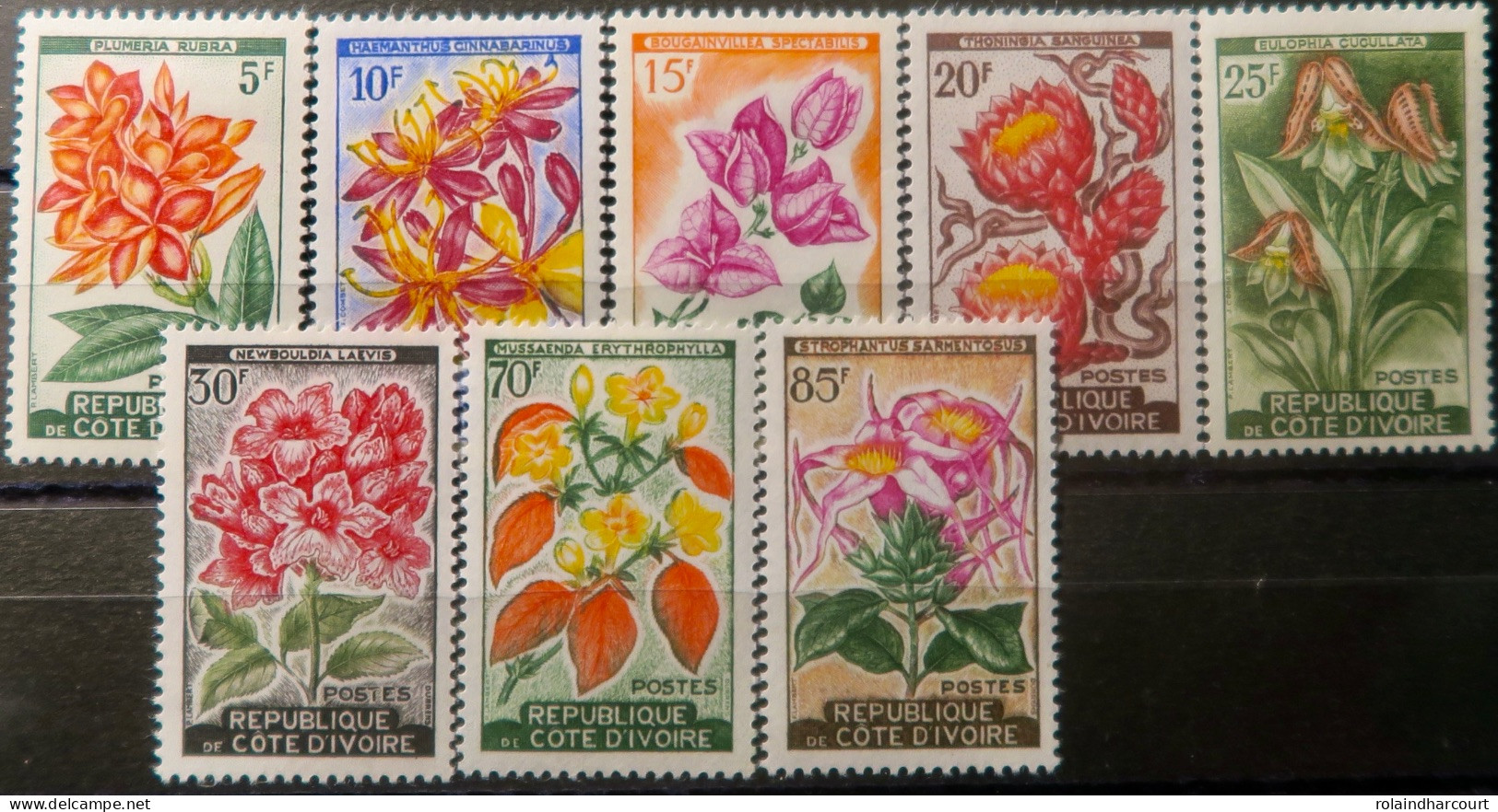 R2253/724 - CÔTE D'IVOIRE - 1961/1962 - Fleurs - SERIE COMPLETE - N°192A à 198 NEUFS**/* - Côte D'Ivoire (1960-...)