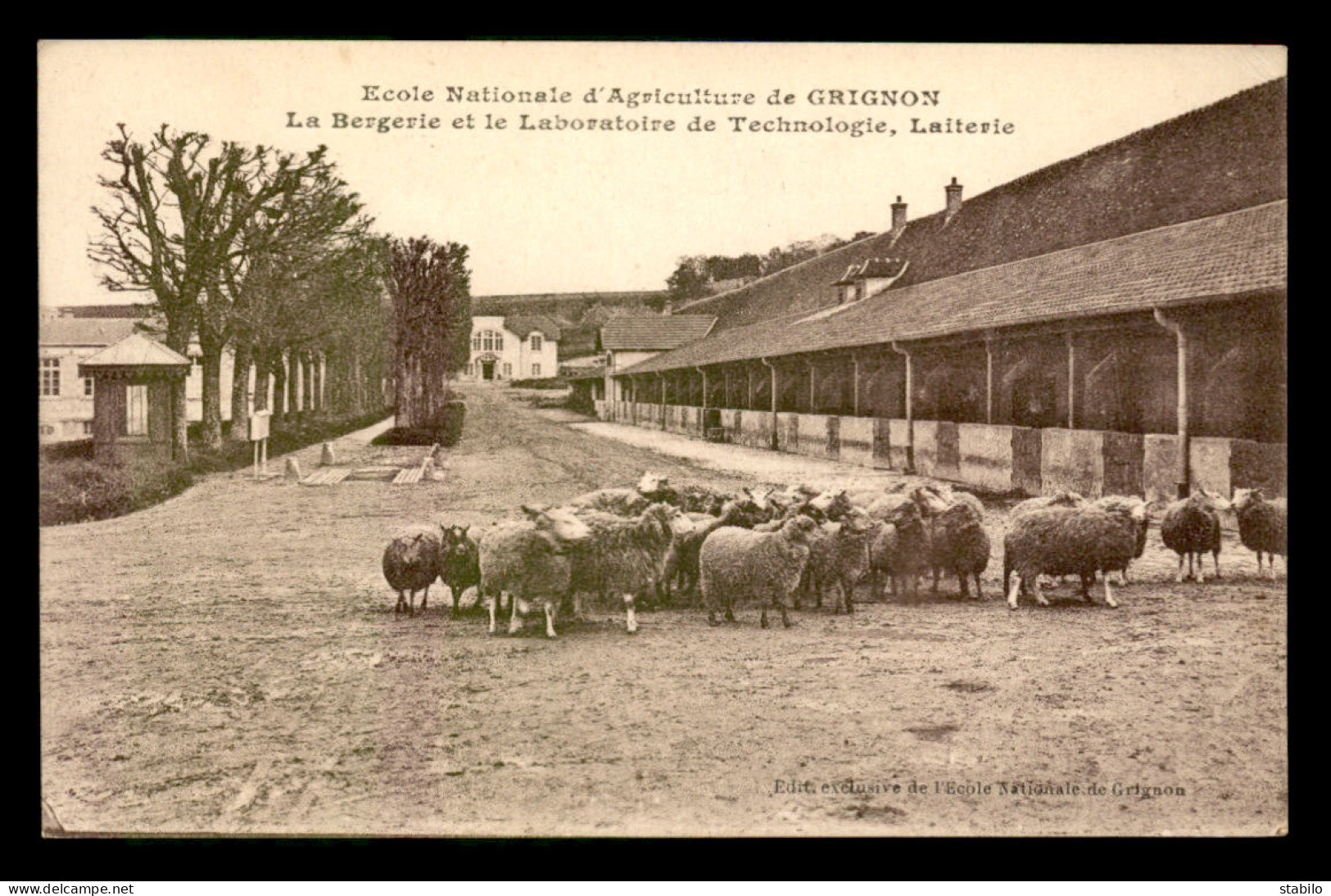 78 - GRIGNON - L'ECOLE D'AGRICULTURE - LA BERGERIE, LE LABORATOIRE DE TECHNOLOGIE ET LA LAITERIE - Grignon