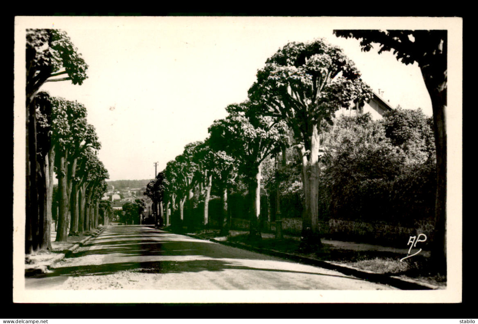 78 - LE CHESNAY - AVENUE DE ROCQUENCOURT - Le Chesnay