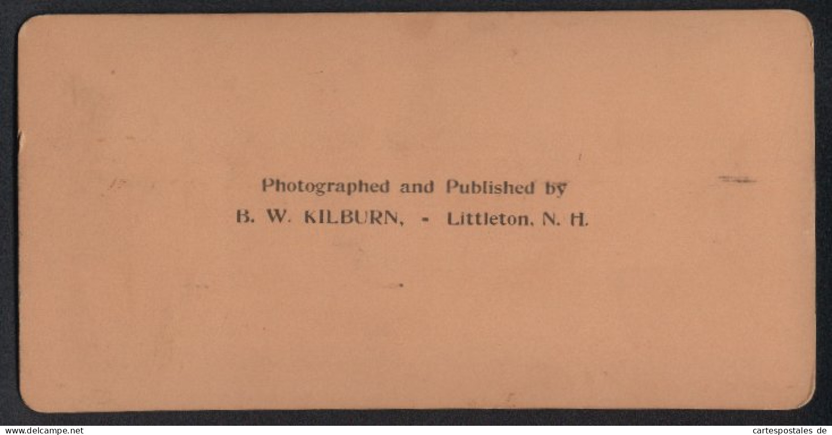 Stereo-Fotografie B. W. Kilburn, Littleton N.H., Ansicht Wien, Vestibule Of Royal Museum Of Arts  - Stereoscopic