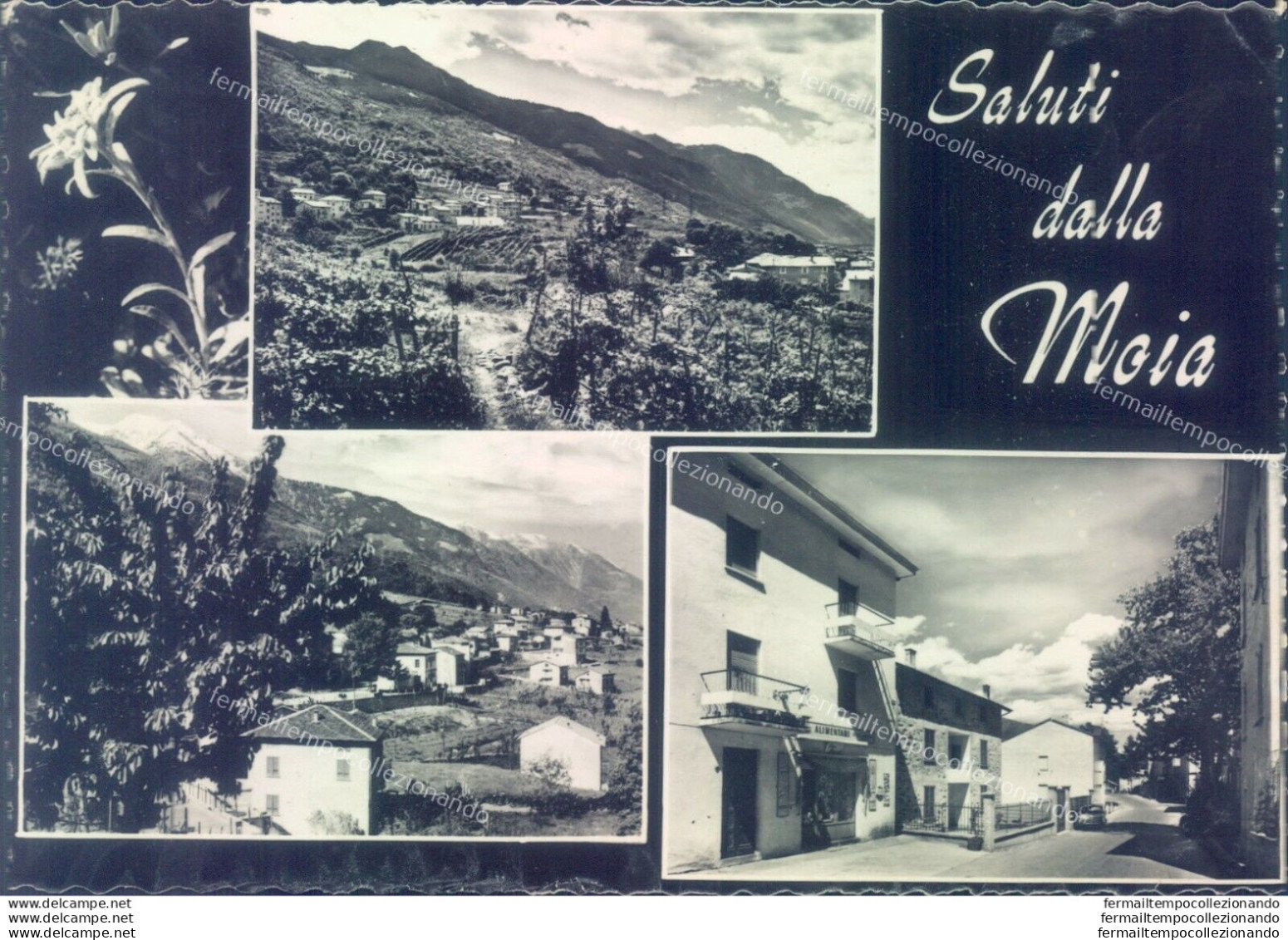 D300 -  Cartolina Provincia Di Sondrio - Saluti Dalla Moia - Sondrio