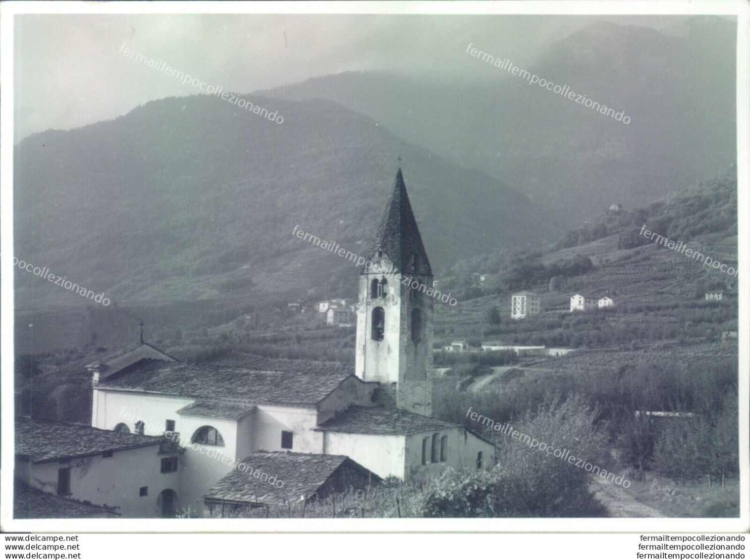 D446 - Bozza Fotografica Provincia Di Sondrio- Castione Di Chiuro - Sondrio