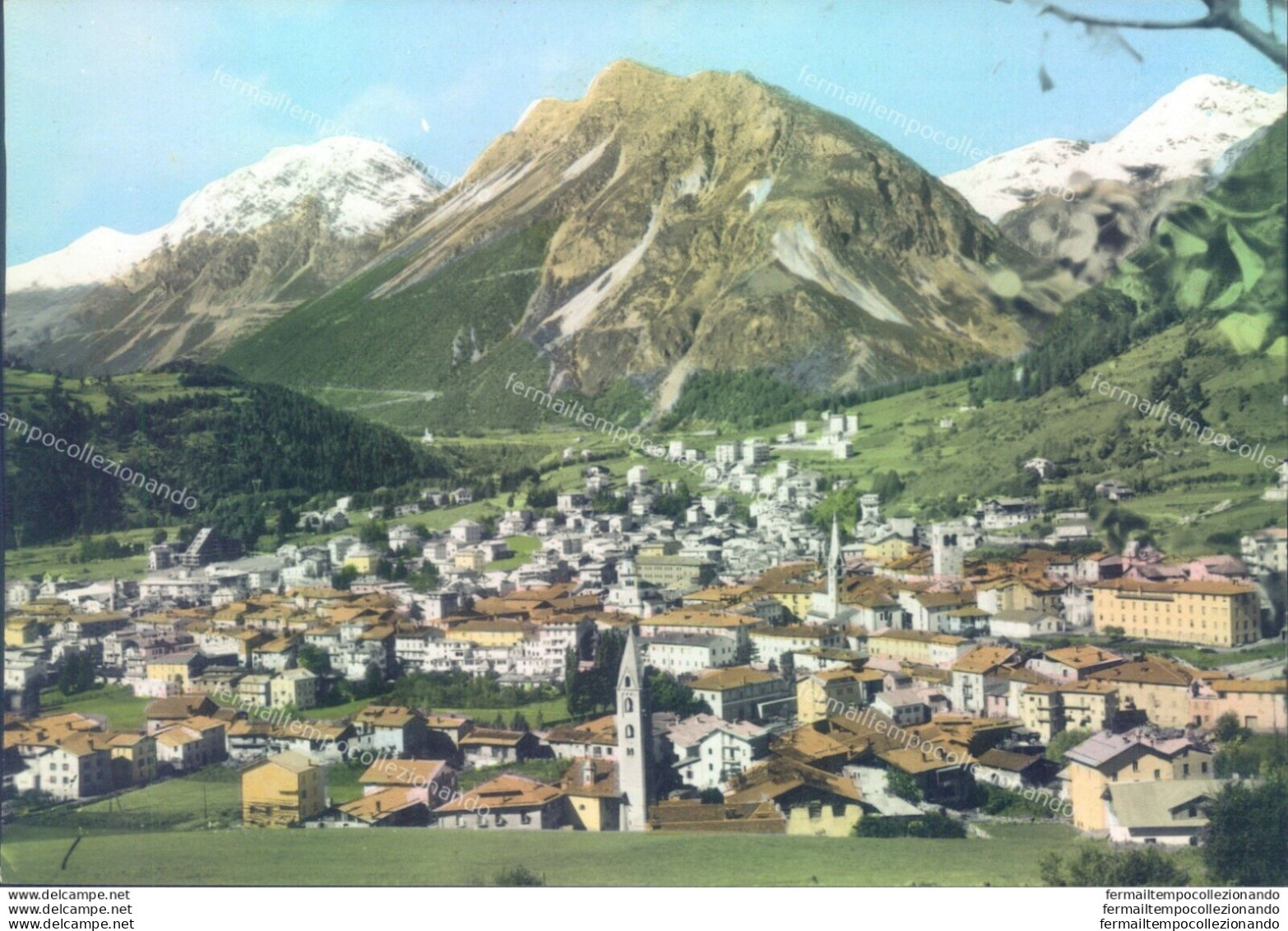 D34-  Cartolina  Provincia Di Sondrio - Bormio  - Panorama - Sondrio