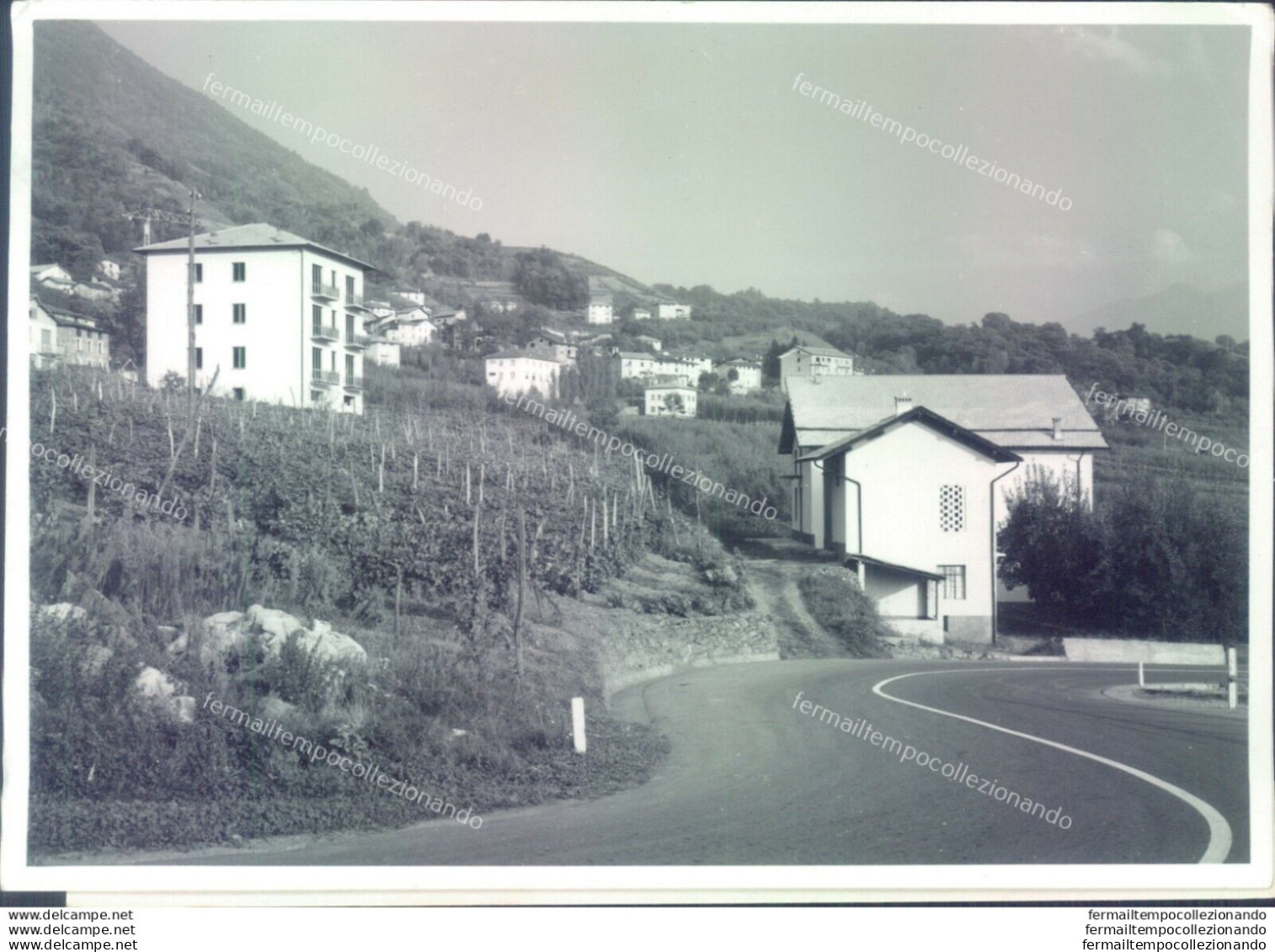 D443 - Bozza Fotografica Provincia Di Sondrio- Castione Di Chiuro - Sondrio