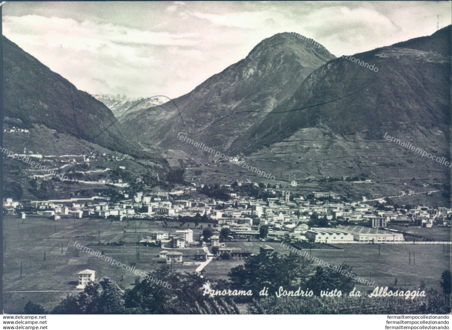 D377 - Cartolina Panorama Di Sondrio Visto Da Albosaggia - Sondrio