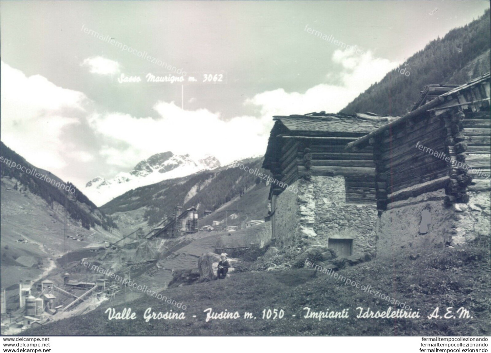D308 - Cartolina  Provincia Di Sondrio -valle Grosina-fusino - Sondrio