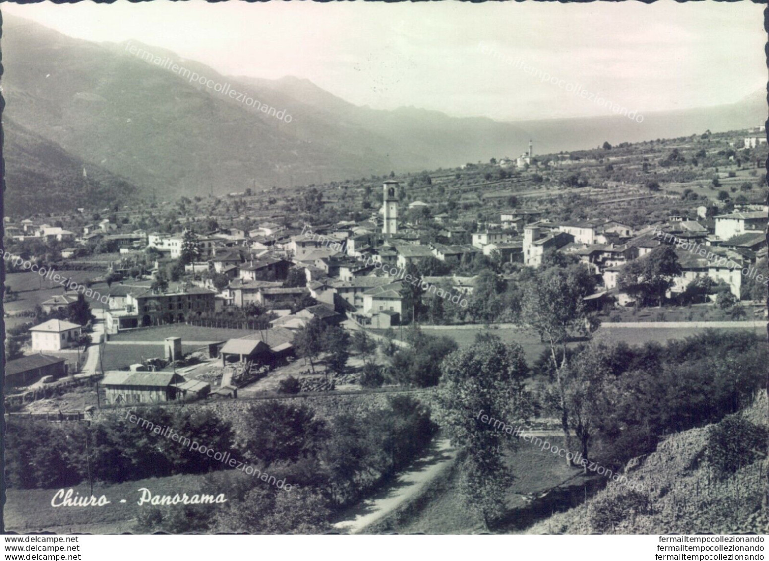 D441 - Cartolina Provincia Di Sondrio- Chiuro Panorama - Sondrio