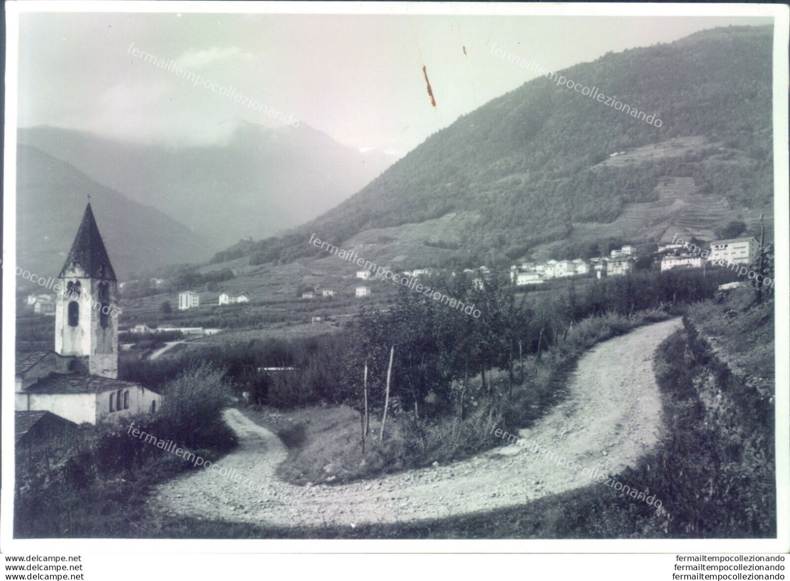 D444 - Bozza Fotografica Provincia Di Sondrio- Castione Di Chiuro - Sondrio