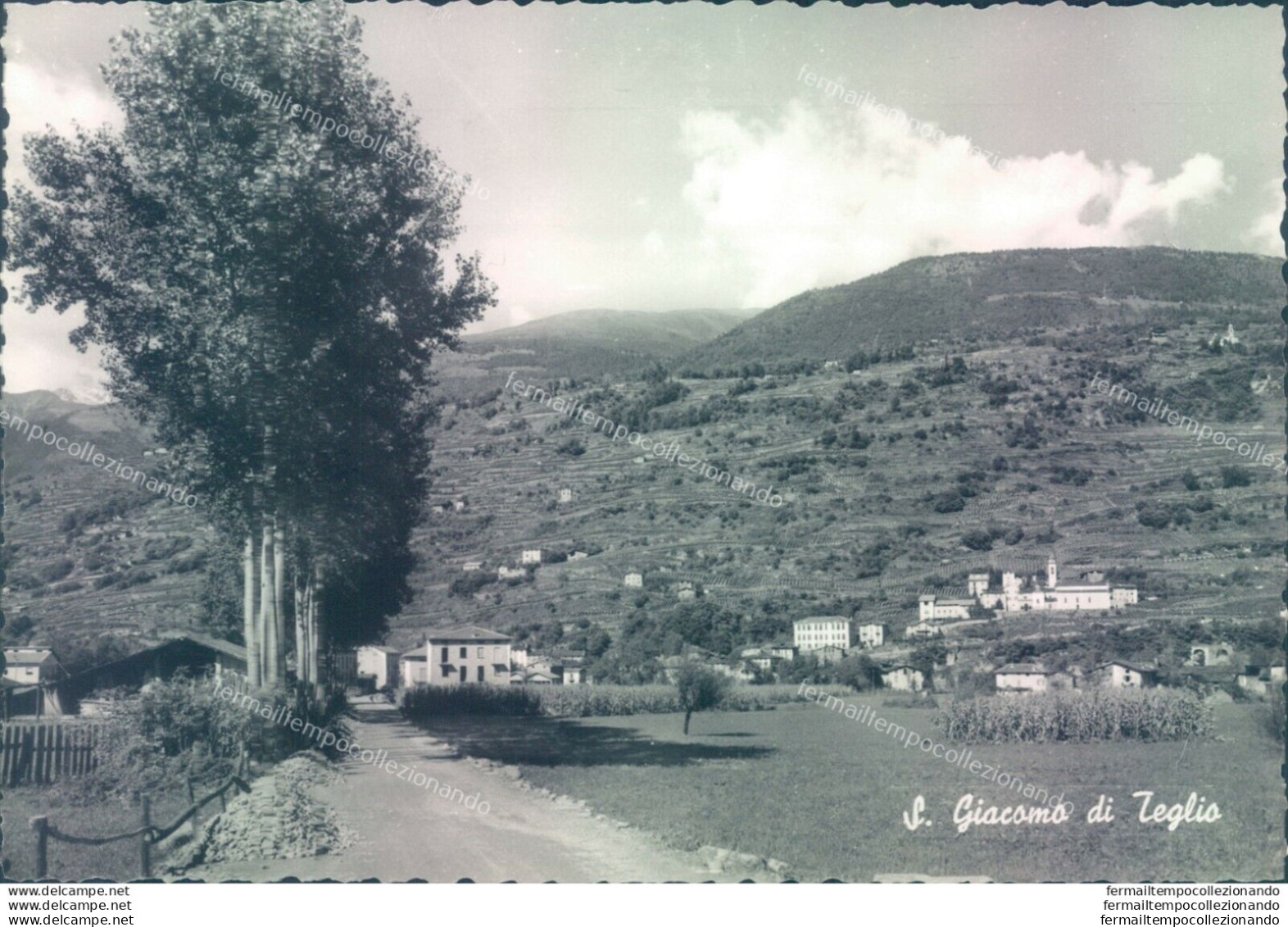 D506- Cartolina  Provincia Di Sondrio- S.giacomo Di Teglio - Sondrio