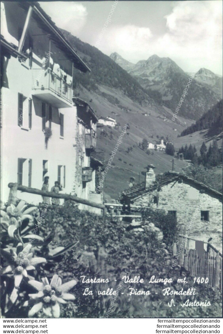 D224-  Prov. Di Sondrio - Tartano Valle Lunga-la Valle-piana-rondelli S.antonio - Sondrio