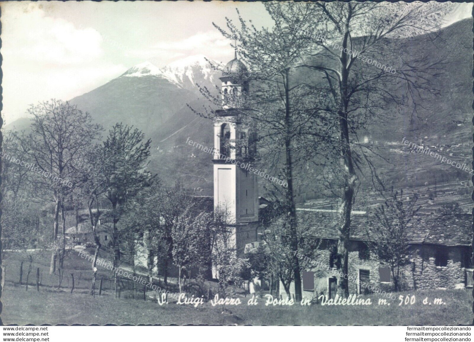 D256- Cartolina Provincia Di Sondrio -s.luigi Sazzo Di Ponte In Valtellina - Sondrio