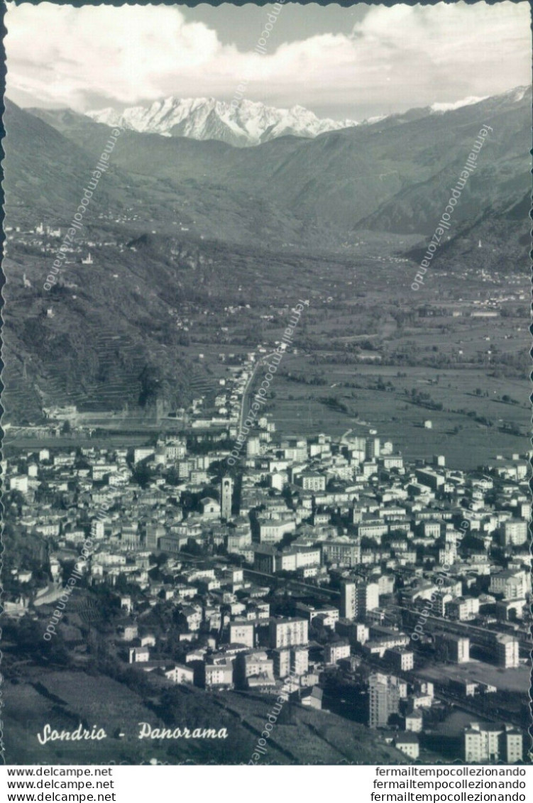 D128 - Cartolina Sondrio Citta'  - Panorama - Sondrio