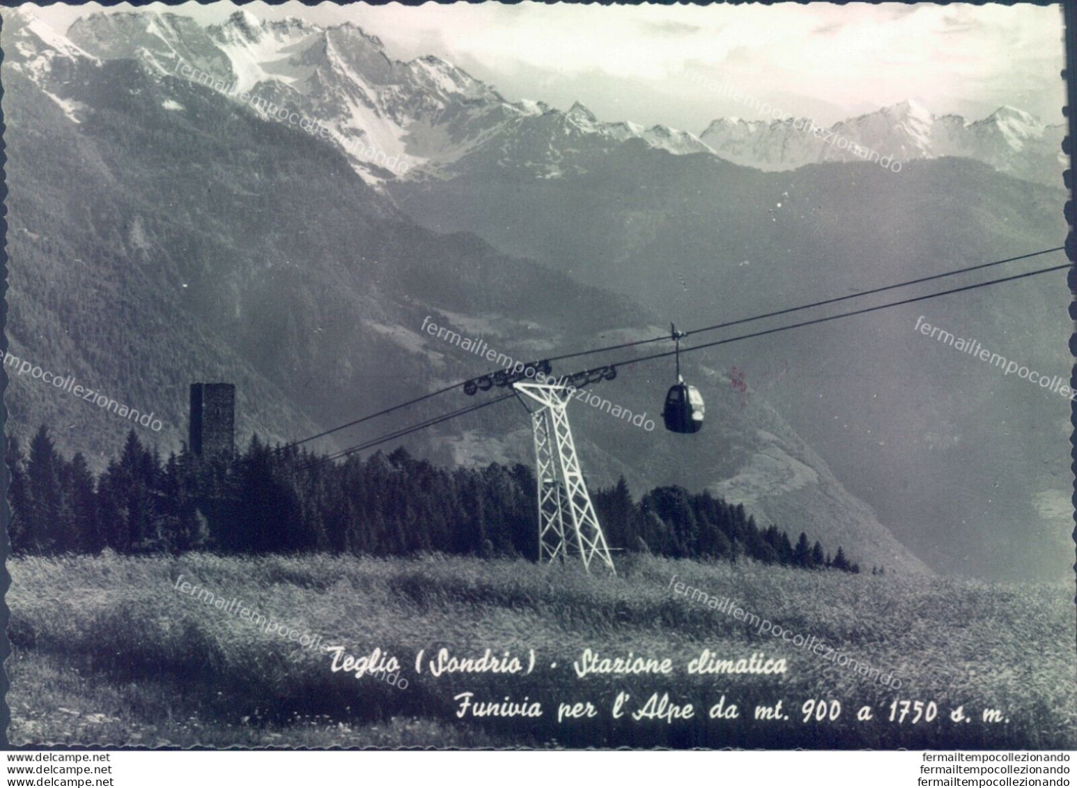 D44 - Cartolina  Provincia Di Sondrio - Teglio Funivia Per L'alpe - Sondrio