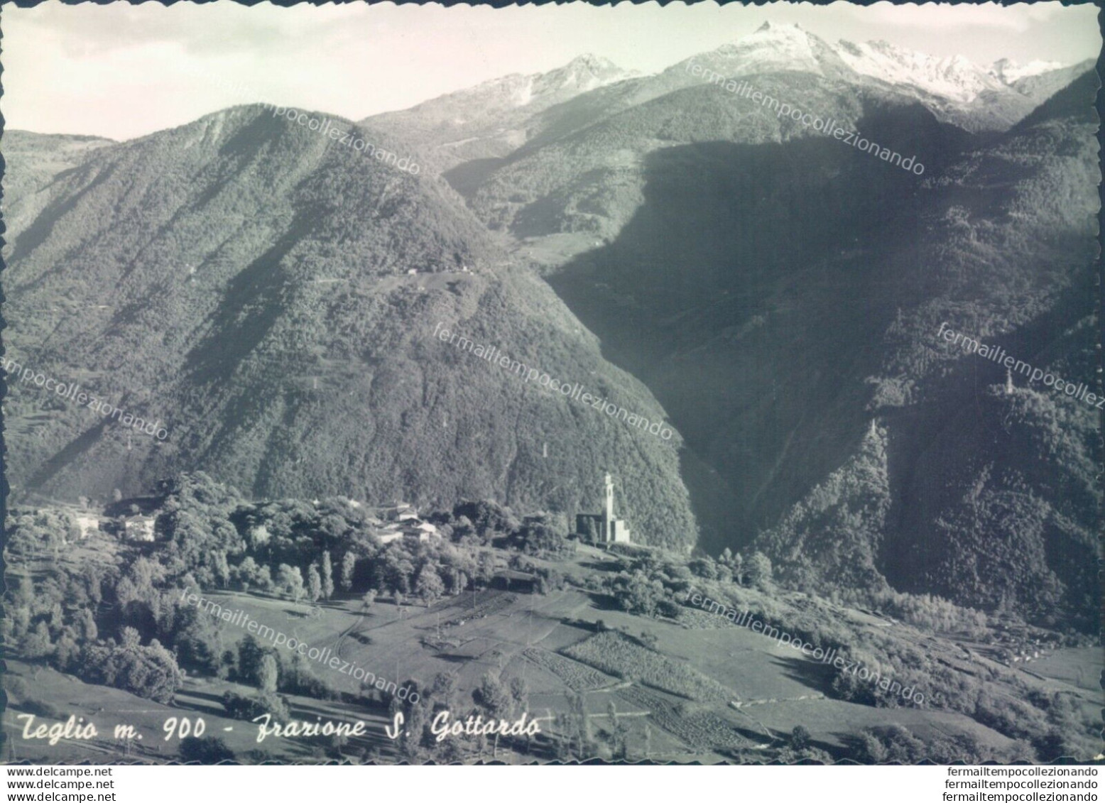 D100 -cartolina  Provincia Di Sondrio - Teglio Frazione S.gottardo - Sondrio