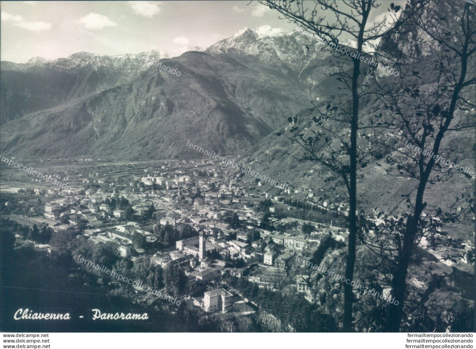 D500-cartolina  Provincia Di Sondrio- Chiavenna Panorama - Sondrio