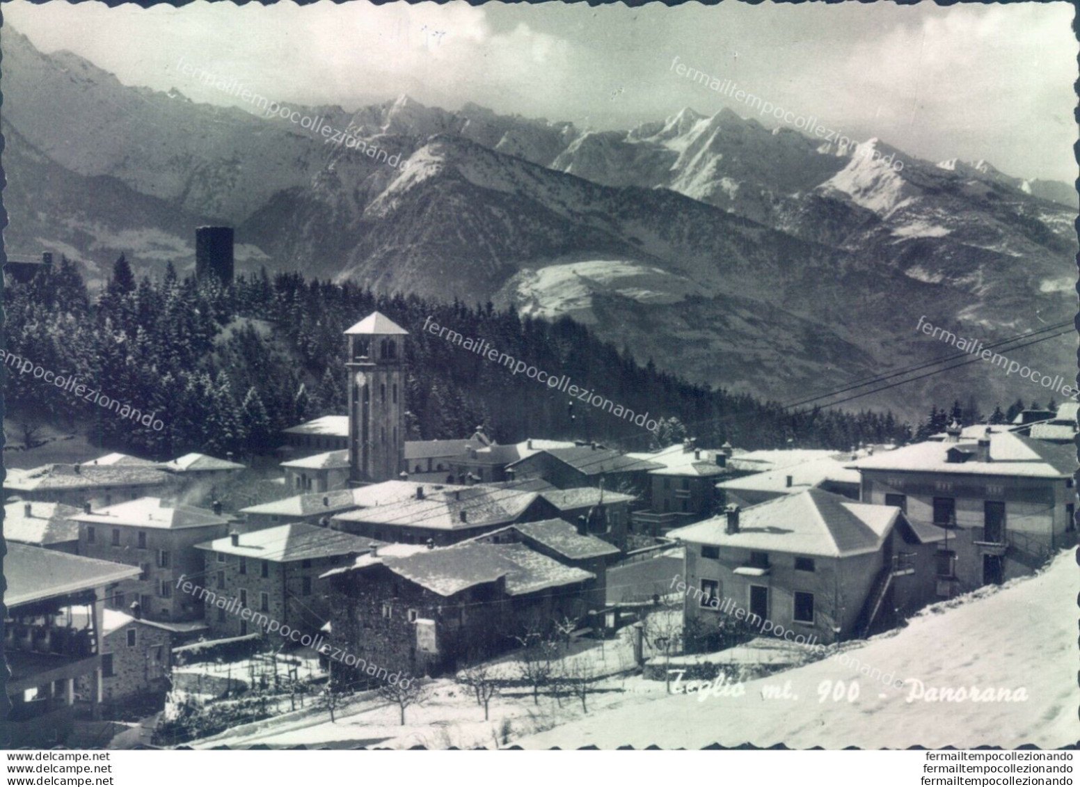 D57 - Cartolina  Provincia Di Sondrio - Teglio Panorama - Sondrio