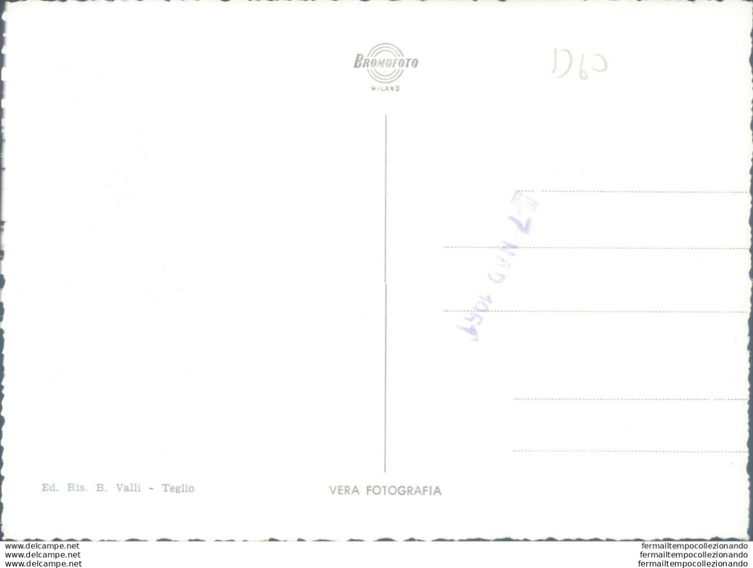 D60 - Cartolina  Provincia Di Sondrio - Teglio - Sondrio