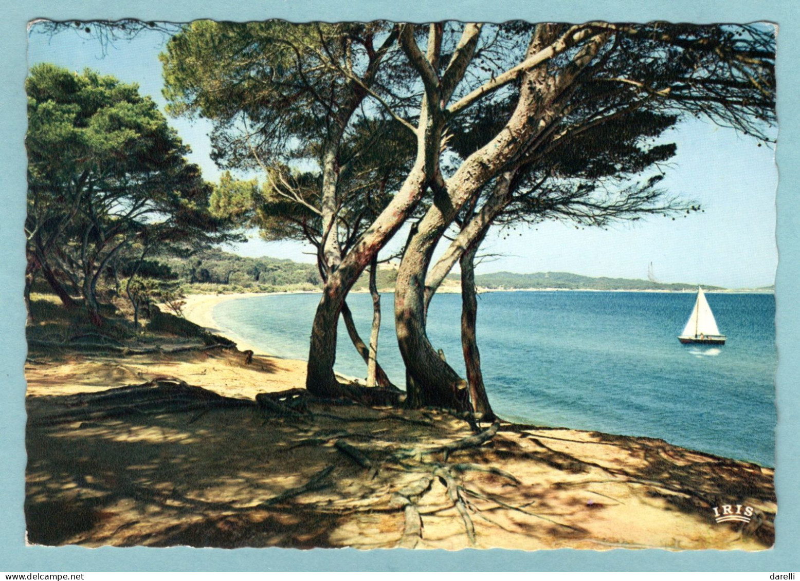 CP 83 - Porquerolles - Plage De Courtade - Porquerolles