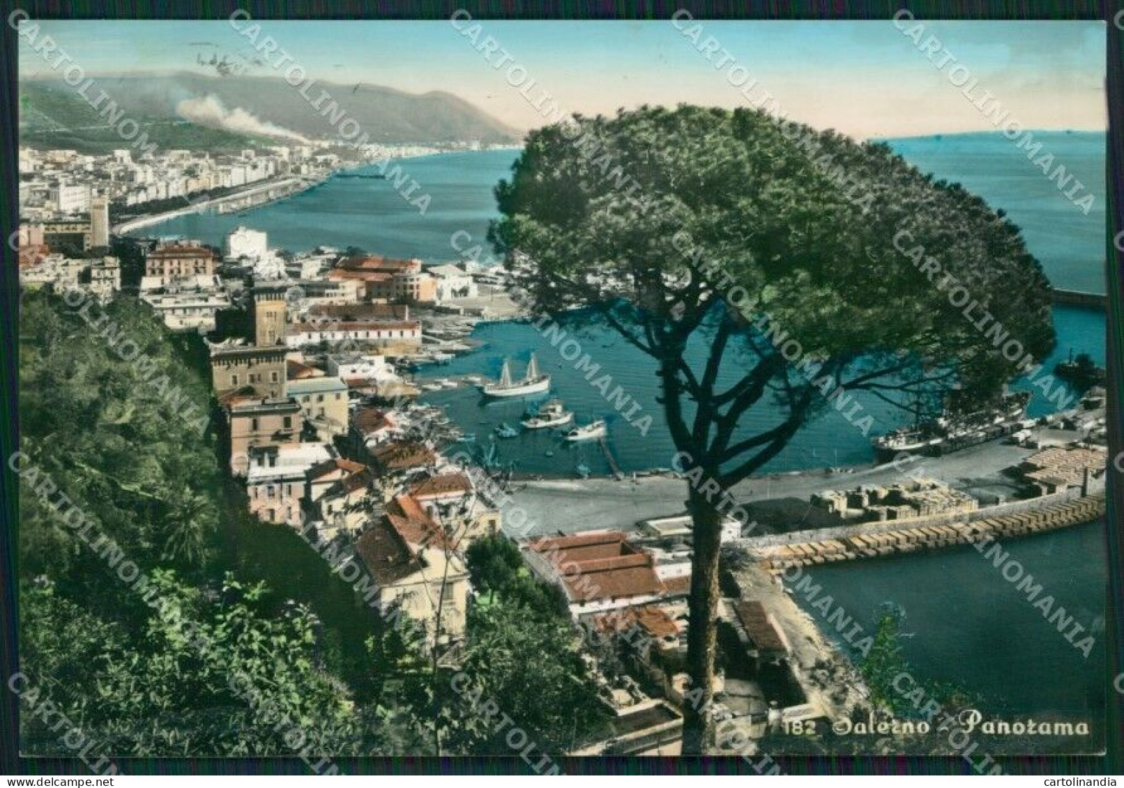 Salerno Città Foto FG Cartolina ZKM7285 - Salerno