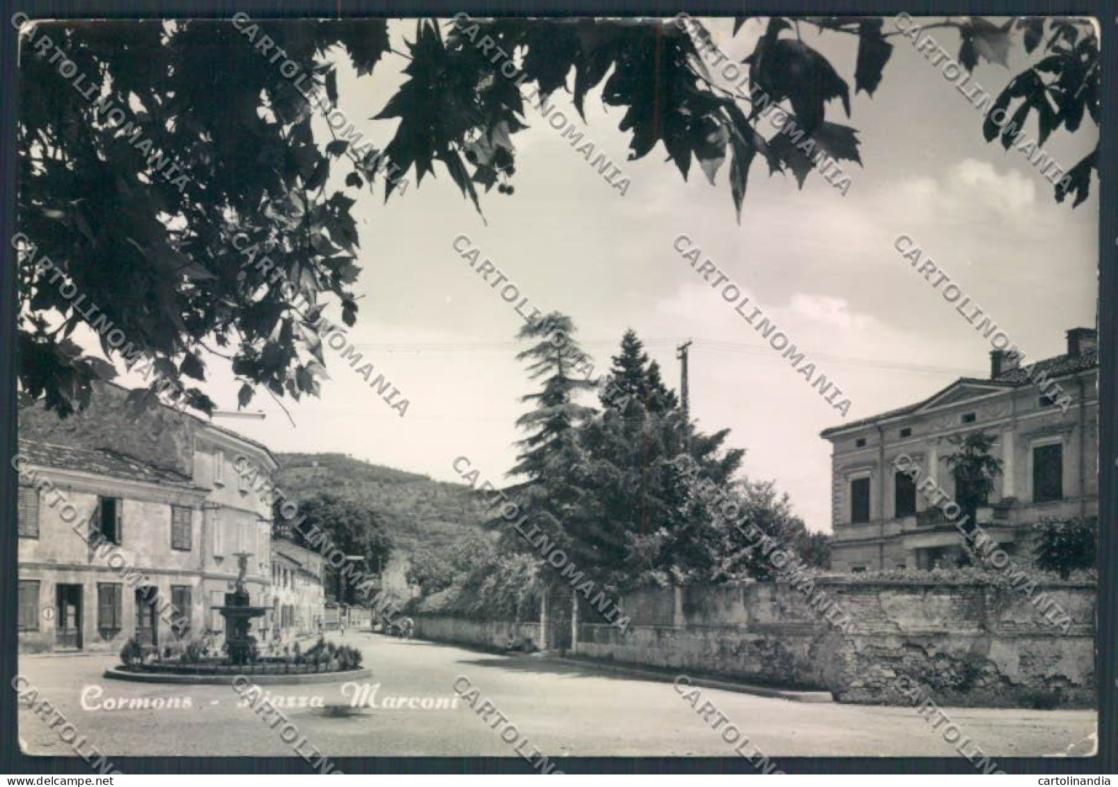 Gorizia Cormons Foto FG Cartolina ZF2368 - Gorizia