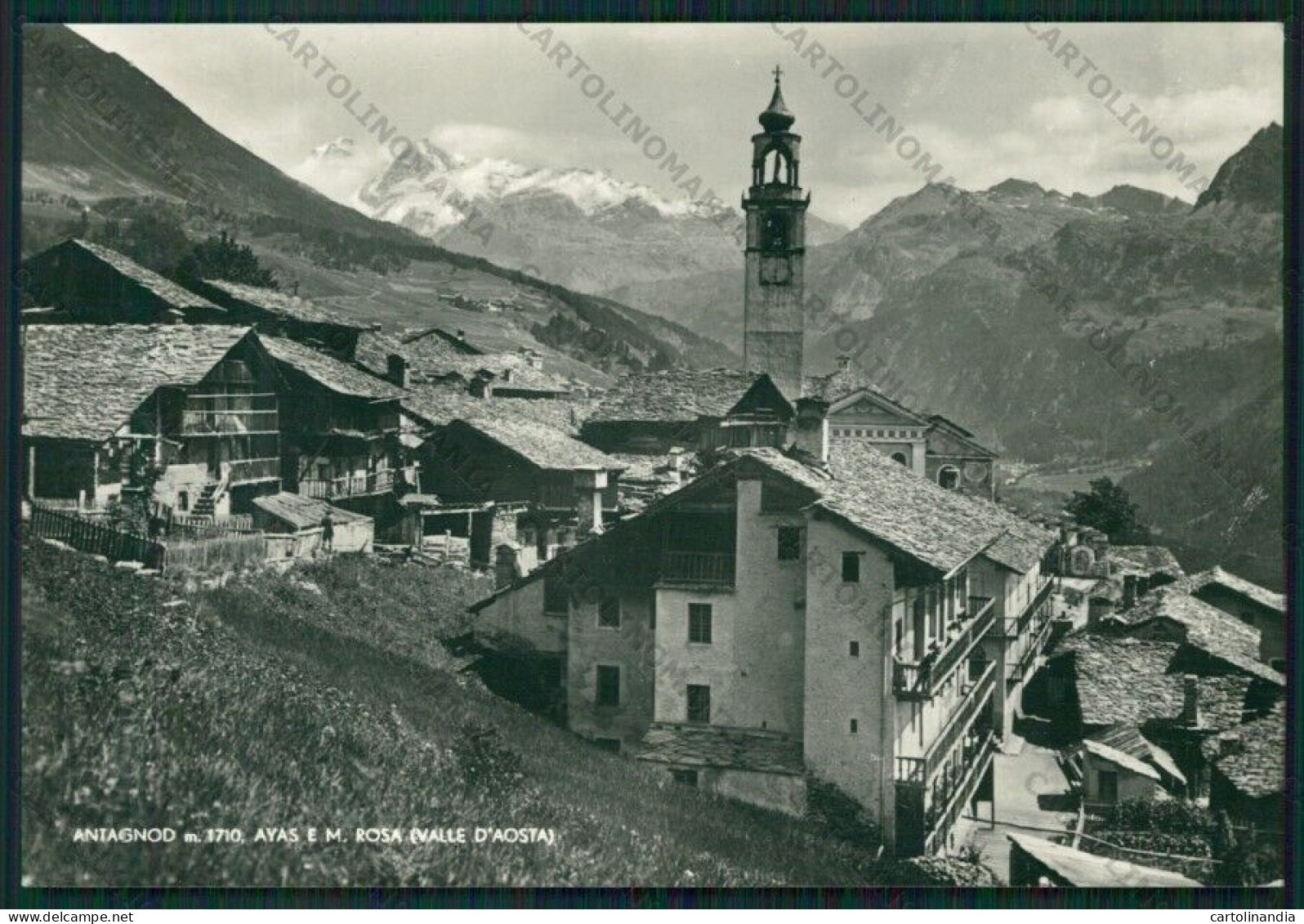 Aosta Ayas Antagnod Monte Rosa Foto FG Cartolina ZK2044 - Aosta