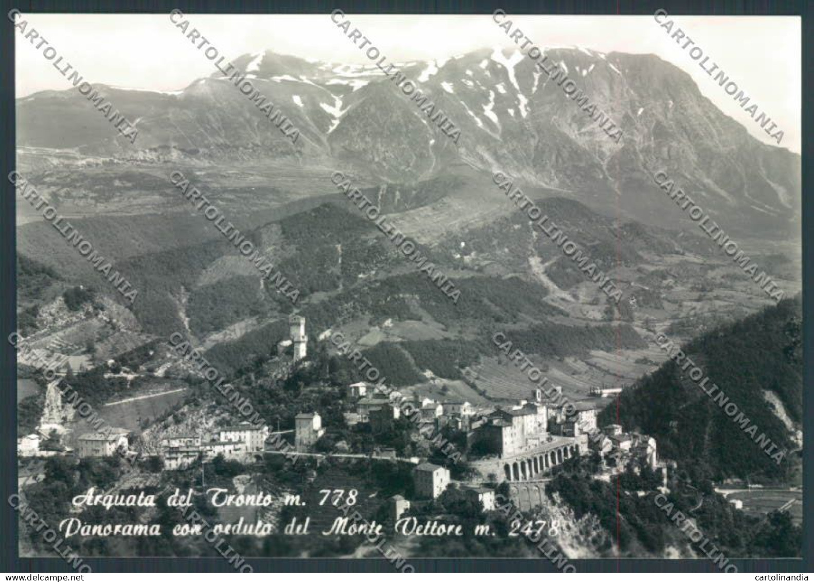 Ascoli Piceno Arquata Tronto Foto FG Cartolina ZF6141 - Ascoli Piceno