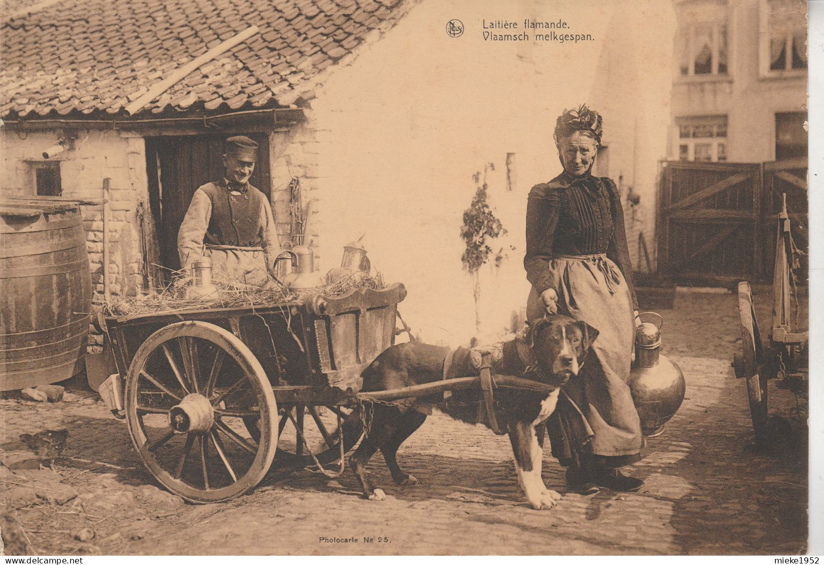 Laitière Flamande  , Vlaamsch Melkgespan ( Attelage à Chien )( Grand Format  : 20 X 13,7 Cm ) - Street Merchants