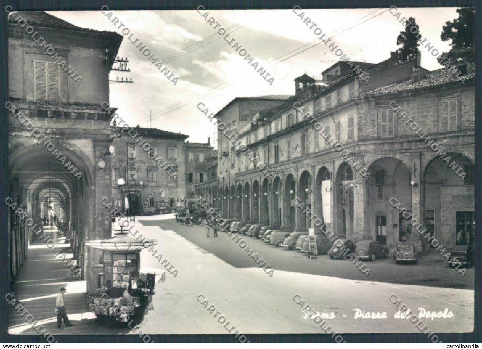 Ascoli Piceno Fermo Edicola Foto FG Cartolina ZF6745 - Ascoli Piceno