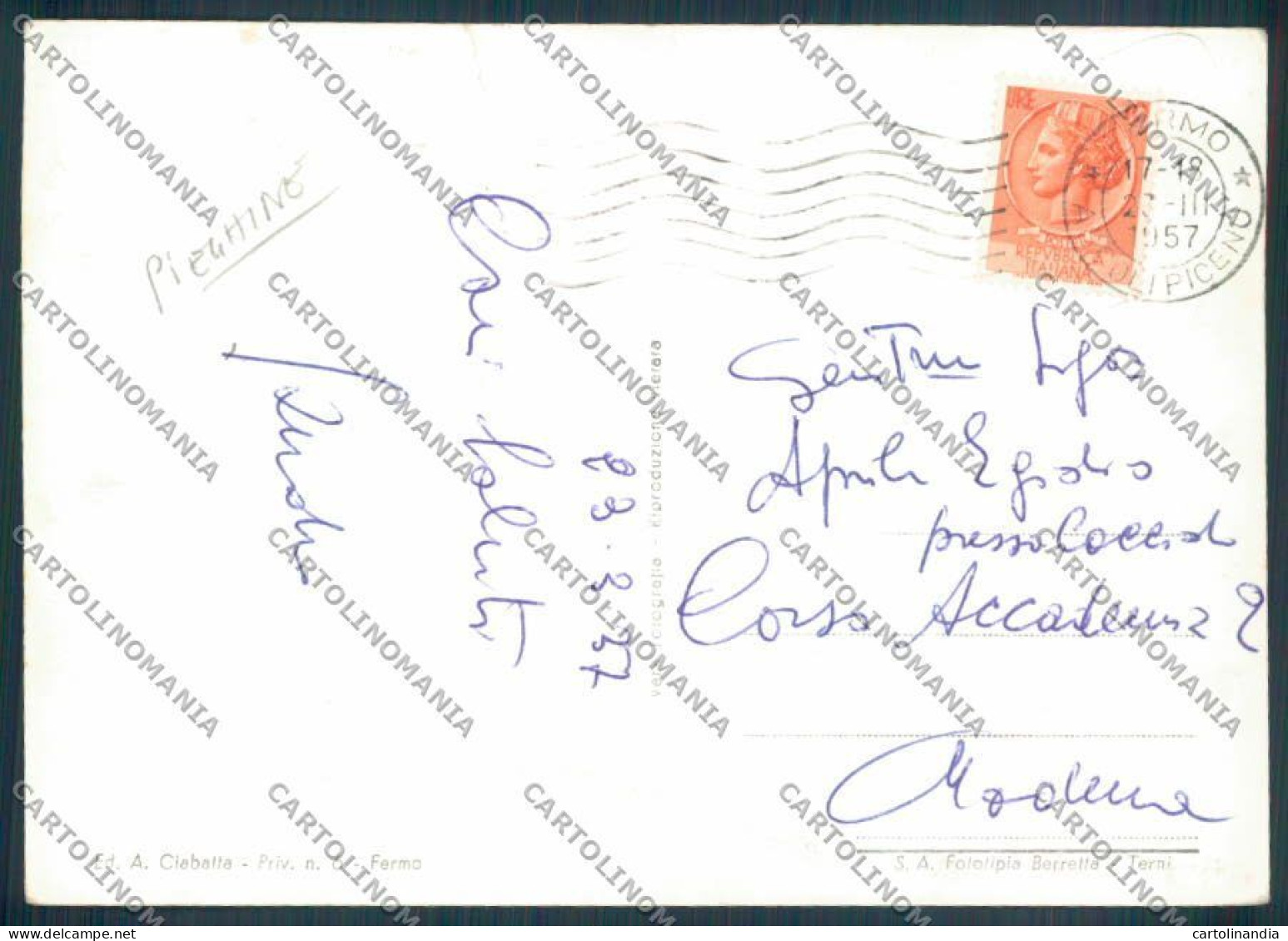 Ascoli Piceno Fermo Edicola Foto FG Cartolina ZF6745 - Ascoli Piceno