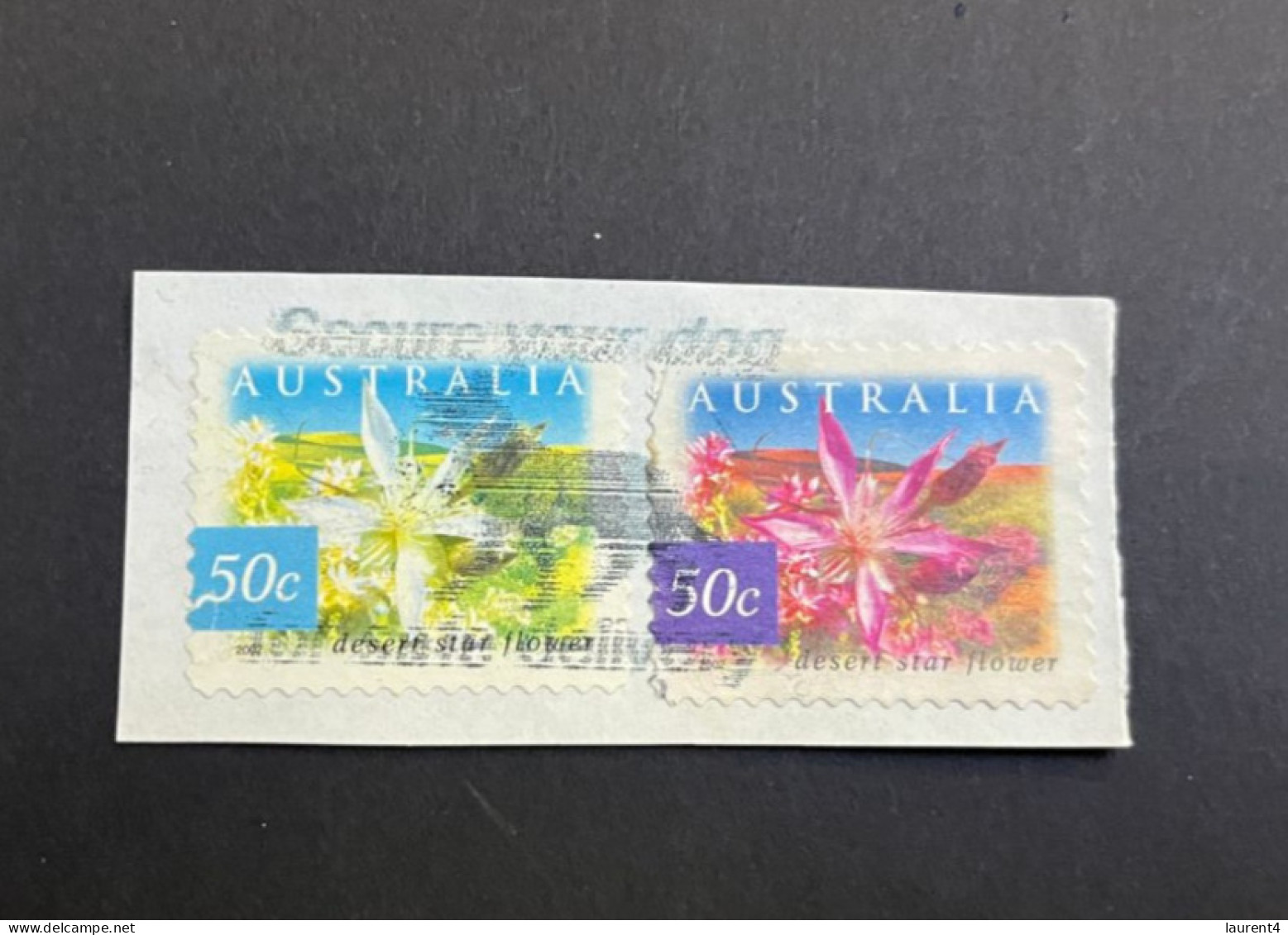 22-4-2024 (stamp) Used - Australia - 50 Cent (UNUSUAL ! Color Difference / Red Missing ? On Same Cover Piece) - Autres & Non Classés